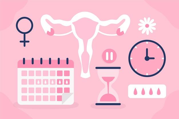 Como afecta la Menopausia en la Mujer Hormonalmente